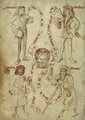 A négy testnedvet jelképező emberalakok egy középkori rajzon