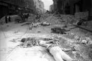 Temetetlen halottak a budapesti gettóban 1945 januárjában (MTI)