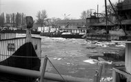 A siófoki kikötő 1966-ban