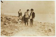 Szemetet gyűjtögető fiúk Bostonban 1908-ban