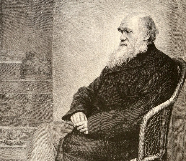 Darwin 1880-ban