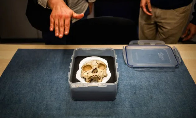 (Forrás: Jc Milhet / Hans Lucas)