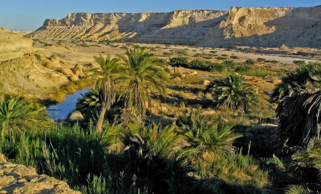 Illusztráció (forrás: wikipédia / CC BY 2.0) 