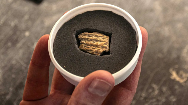 (Forrás: Yoli Schwartz / Izraeli Régészeti Hatóság)