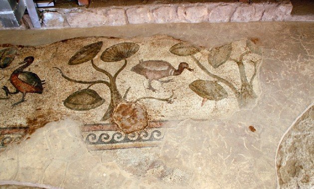 Madarak és allegóriák: ritka nilotikus motívumok egy késő antik villában