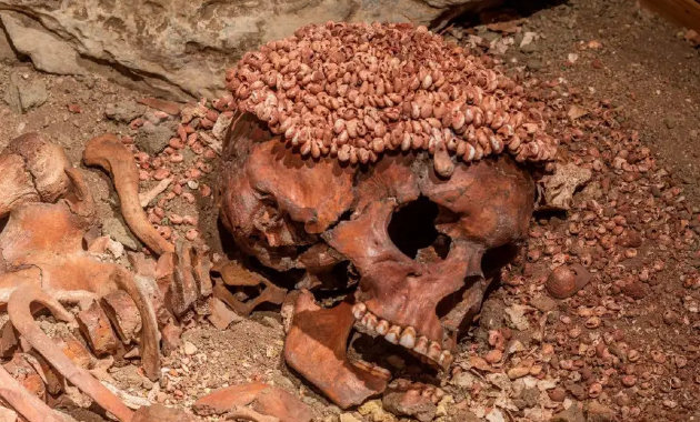 Medvetámadás végzett a paleolitikum egyik legismertebb tinijével