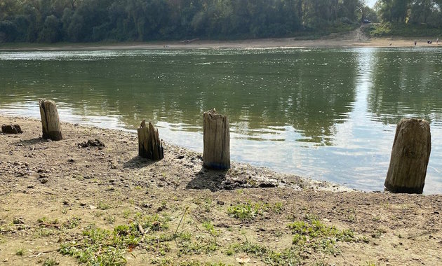 Középkori révátkelő maradványait azonosították a Tiszában