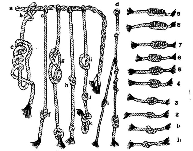 Jelmagyarázat   Forrás:   American Museum of Natural History, New York