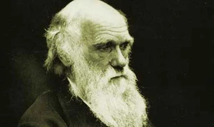 Nem kér bocsánatot a Vatikán Darwintól