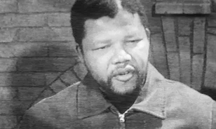 Nyúlinvázió fenyegeti Mandela egykori börtönszigetét