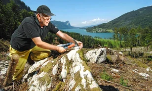 Kőkori Pompejii nyomait keresik Ausztriában