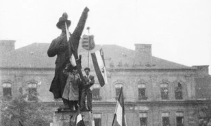 Forradalom és megtorlás a felsőoktatásban