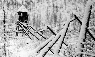 Elveszhet a virtuális GULAG archívuma