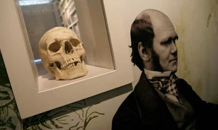 Gilisztáknak zongorázott Darwin felesége