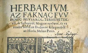 Füveskönyvek Budapesten