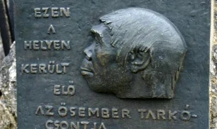Multimédiás múzeumba költöztetnék Samut