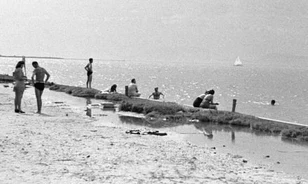 Berlinbe költözött a Balaton