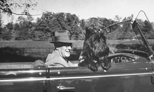 Kutyája is segített az újraválasztásért harcoló Rooseveltnek