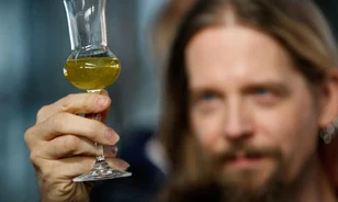 Legalizálnák az abszintot a franciák