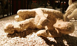 Fulladás helyett elégtek Pompeji lakosai