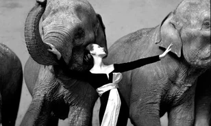 Elárverezik Richard Avedon leghíresebb felvételeit