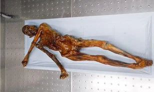 Megfejtették Ötzi DNS-ét