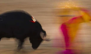 Spanyol vita a bikaviadalok öröksége miatt