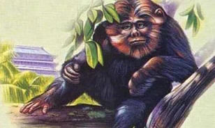 Kutatók a kínai jeti nyomában
