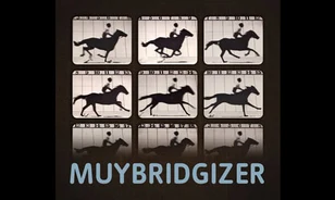Muybridge után szabadon