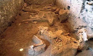 Megoldódott a pompeji állatcsontváz titka