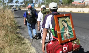 Özönlöttek a zarándokok az El Caminóra 2010-ben