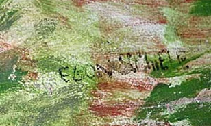 Művészeti krimi egy állítólagos Schiele-festmény körül