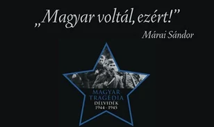 Honlap indult a délvidéki atrocitásokról