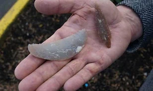 Ősi hajósok nyomaira bukkantak Kaliforniában