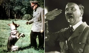 A nácik beszélni tanították a kutyákat 