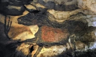 Egyre kevesebb a gomba a Lascaux-barlang falán 