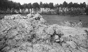 Műemlék lesz Hitler egykori ukrajnai bunkere