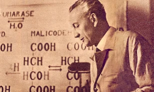 A mai napig meghatározó Szent-Györgyi Albert szellemisége