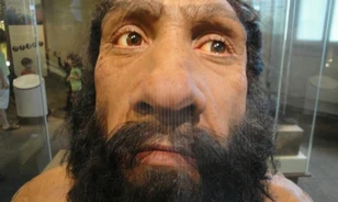 
	Jó hegymászó lehetett a neandervölgyi
