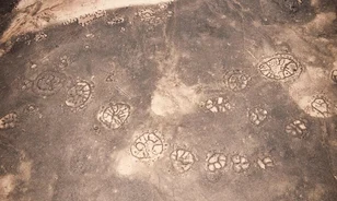 
	Fejtörést okoznak az Arab-félsziget Nazca-vonalai
