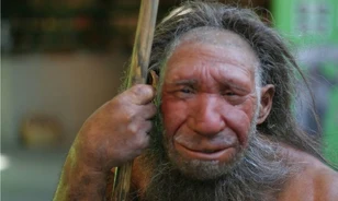 
	Nem csak a neandervölgyivel szűrte össze a levet a modern ember
