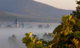 
	Történeti táj lesz Tokaj-Hegyalja
