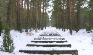 
	Tömegsírokat találtak Treblinkánál
