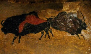 
	Soha nem látott képek Lascaux-ból
