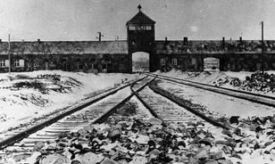 
	Megkezdődött az auschwitz-birkenaui emlékhely restaurálása

