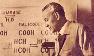 
	Szent-Györgyi Albert kiállítás Szegeden
