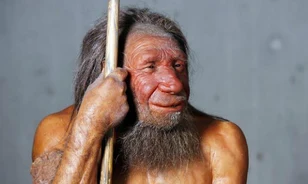
	Nem keveredett egymással a modern és a neandervölgyi ember
