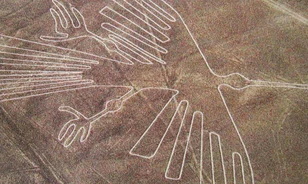 
	Disznók rombolják a Nazca-vonalakat

