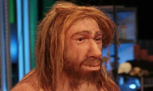 
	"Életre keltették" a neandervölgyi embert
