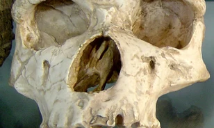 
	Már a Homo erectus is járhatott Krétán
